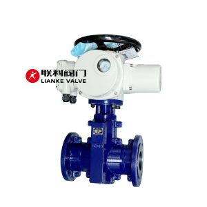 Electric Pinch Valve