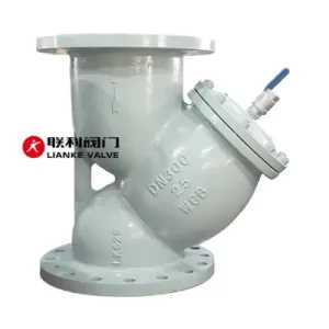 Sewage Y Strainer